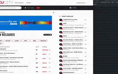 How to Batch Download on DJcity